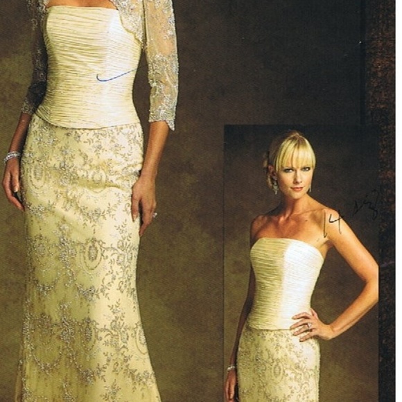 Champagne Embroidered Floral Silk Tulle Gown - Picture 1 of 1